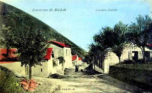 Fontaine Fraiche - Environs de Blidah